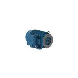 Weg Motors 13693141 W22 NEMA Premium Efficiency 125 HP 4P 444/5TC 3Ph ...