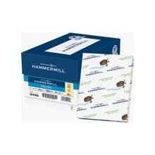 Hammermill Colors Colored Paper - Letter - 8.50" x 11" - 24 lb Basis Weight - Recycled - 30% Recycled Content - 96 Brightness - 500 / Ream - Ivory