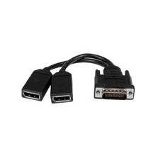 StarTech.com 8in LFH 59 Male to Dual Female DisplayPort DMS 59 Cable - DMS-59/DisplayPort for Audio/Video Device, Monitor, Graphics Card - 8" - 1 Pack - 1 x DMS-59 Male Video - 2 x DisplayPort Female Digital Audio/Video - Nickel Plated - Shielding - Blac