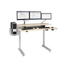Anthro Elevate Adjusta 60, Electric Sit-Stand Desk - Rectangle Top - 2 Legs - 60" Table Top Width x 1" Table Top Thickness