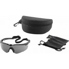 Revision Military 4-0152-0004 Stingerhawk® Eyewear System - Smoke Basic Kit (Regular)