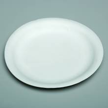AbilityOne 7350002900594 SKILCRAFT 9" Disposable Paper Plates - Plate - Paper Plate - Plate - Yes - White - 500 / Carton