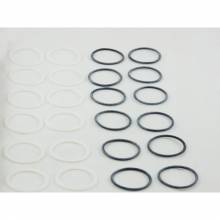 Emerson KG-10025 200RB 2-6 and 500RB Solenoid Valve Gasket Kit, 12 PTFE and 12 Neoprene O-Rings