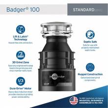 InSinkErator 79879-ISE Badger 100 Garbage Disposal, 1/3 HP