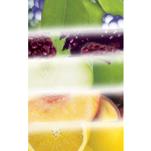 Chase Products 5319 All Fruit Scents Metered Air Fresheners ( Pack Of  - 12 )
