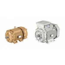 US Motors WD32P2A14CR Washdown Motors, Painted/Paint Free/Stainless Steel