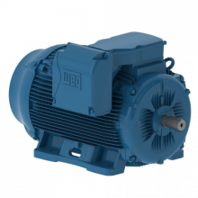 Weg Motors 15459793 W22 IEEE 841 NEMA Premium Efficiency 250 HP 4P 447/9T 3Ph 575 V 60 Hz IC411 - TEFC - Foot-mounted-25018ST3HIE449T-W22